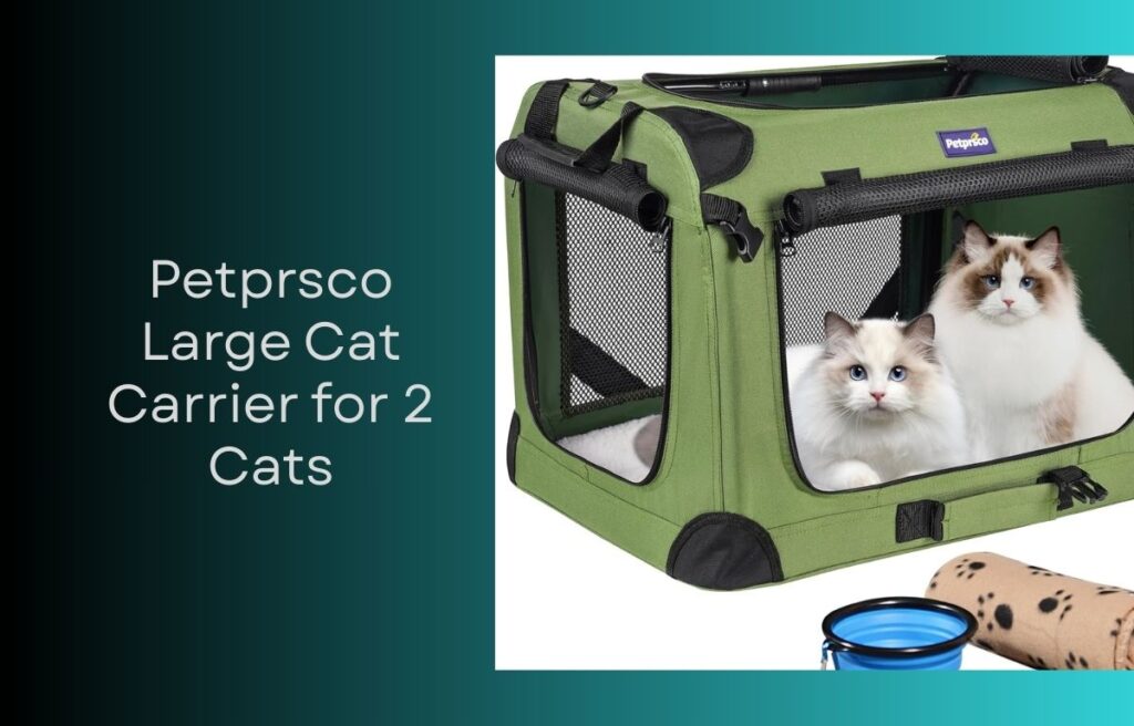 best cat carrier