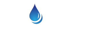 Product Reviewer